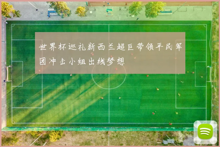 世界杯巡礼新西兰超巨带领平民军团冲击小组出线梦想